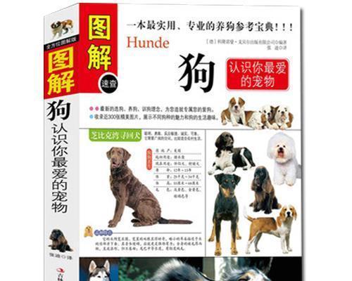 宠物狗狗的喂养指南（打造健康快乐的小狗生活）