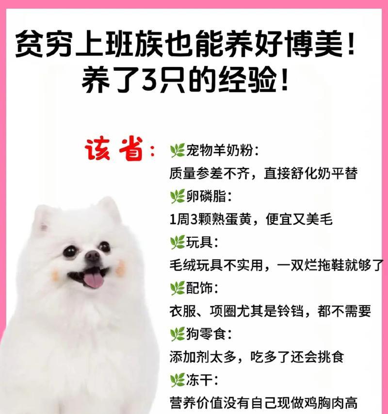 打理你的博美犬（专业美容师教你如何给博美犬进行健康而美丽的打理）