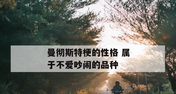 曼彻斯特梗的饲养方法（打造健康快乐的曼彻斯特梗生活）