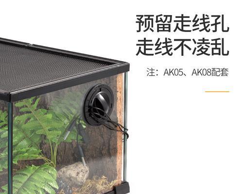 芒鼠饲养全指南（打造舒适家园，享受和谐生活）