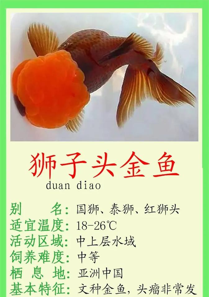 红白珍珠鳞饲养技巧（掌握这些技巧，让红白珍珠鳞健康快乐成长）