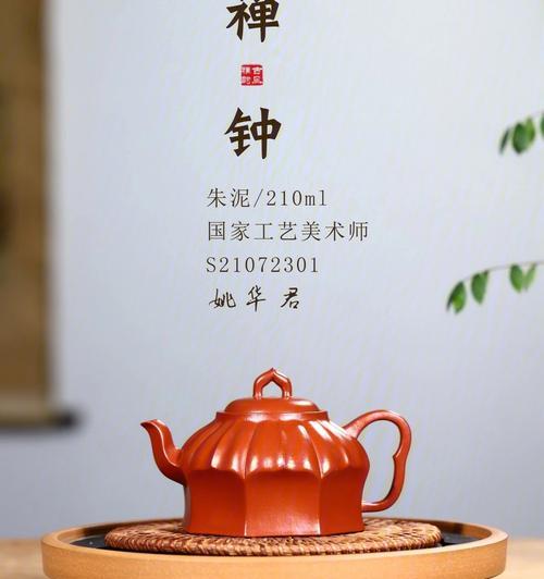 钟纹折背陆龟饲养指南（了解饲养环境和喂食方法，打造舒适的家园）