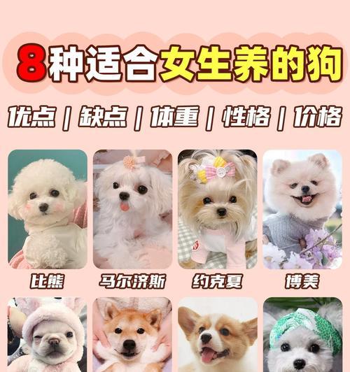 巨无霸“大丹犬”的优缺点揭秘（宠物选择的新思考）