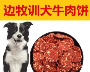 荒山上被拴的边牧（孤立无援的生命，面对饥渴与死亡的挣扎）