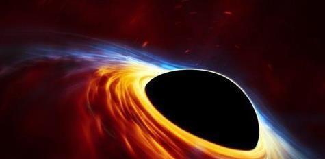 水熊的坚不可摧之谜终于被揭开（科学家发现水熊抗性的关键原因）