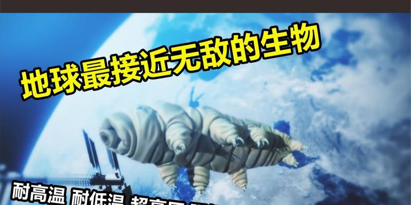 揭秘水熊虫的无敌真相（以魔抗点满的水熊虫）
