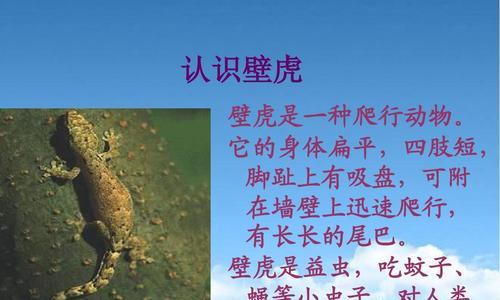 壁虎“飞檐走壁”的奥秘（探秘壁虎能够在垂直墙壁上行走的神奇力量）