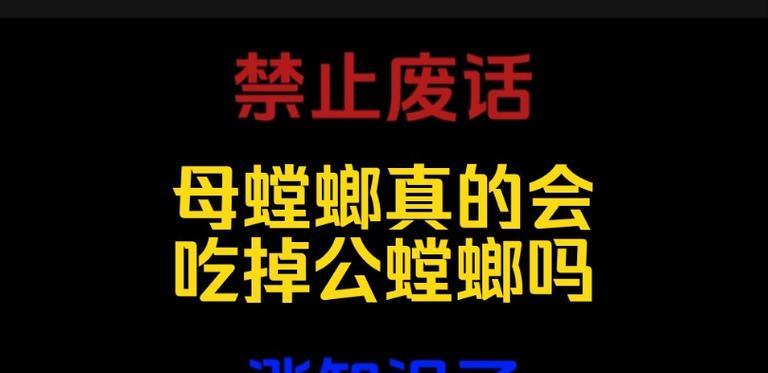 螳螂的奇妙世界（揭开螳螂的神秘面纱，了解其生活习性和特殊能力）