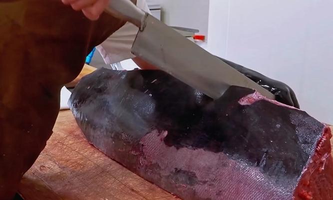 乌鸦的战斗力超越鹰，智商与大猩猩媲美（揭秘乌鸦的不可小觑之处）