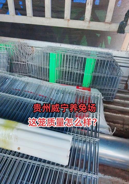 冬季养兔的注意事项（兔子对冷天气的适应能力及防寒措施）