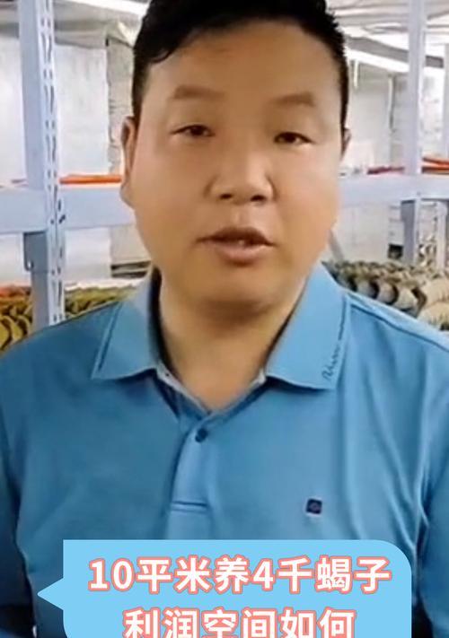 掌握蝎子养殖的技巧（从蝎子的饲养环境到营养摄取，了解如何养好蝎子）