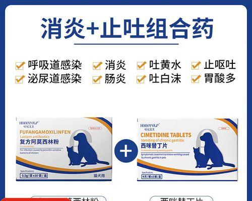 狗狗肠炎好了后可以用什么消炎药（细致了解狗狗肠炎的治愈过程及消炎药选择）