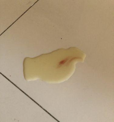 母狗月经的注意事项（了解和处理母狗月经期的必要知识）