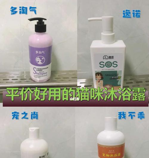 给猫洗澡的正确方式（保持宠物猫清洁健康，选择合适的洗澡用品）