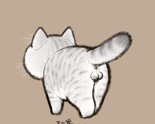 揭秘母猫屁股的奥秘（解读母猫屁股的形态与功能，探寻背后的秘密）