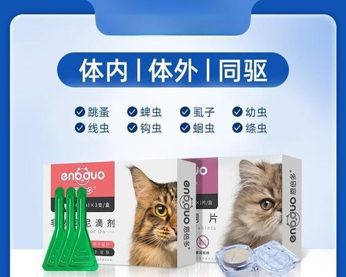如何使用有效的方法给猫除跳蚤（掌握关键方法，让猫咪远离跳蚤的困扰）