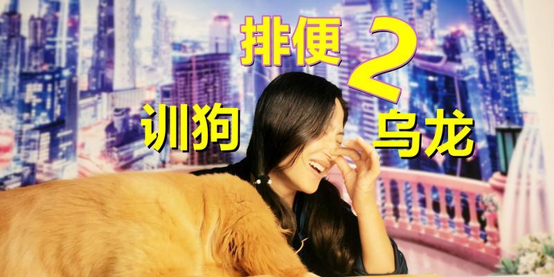 小金毛拉屎的征兆及注意事项（了解小金毛拉屎的表现，做好宠物养护）