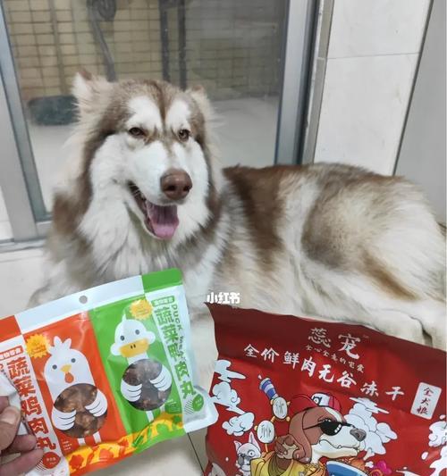 阿拉斯加犬的最佳营养之选（为你的阿拉斯加犬选择适合的粮食品牌）