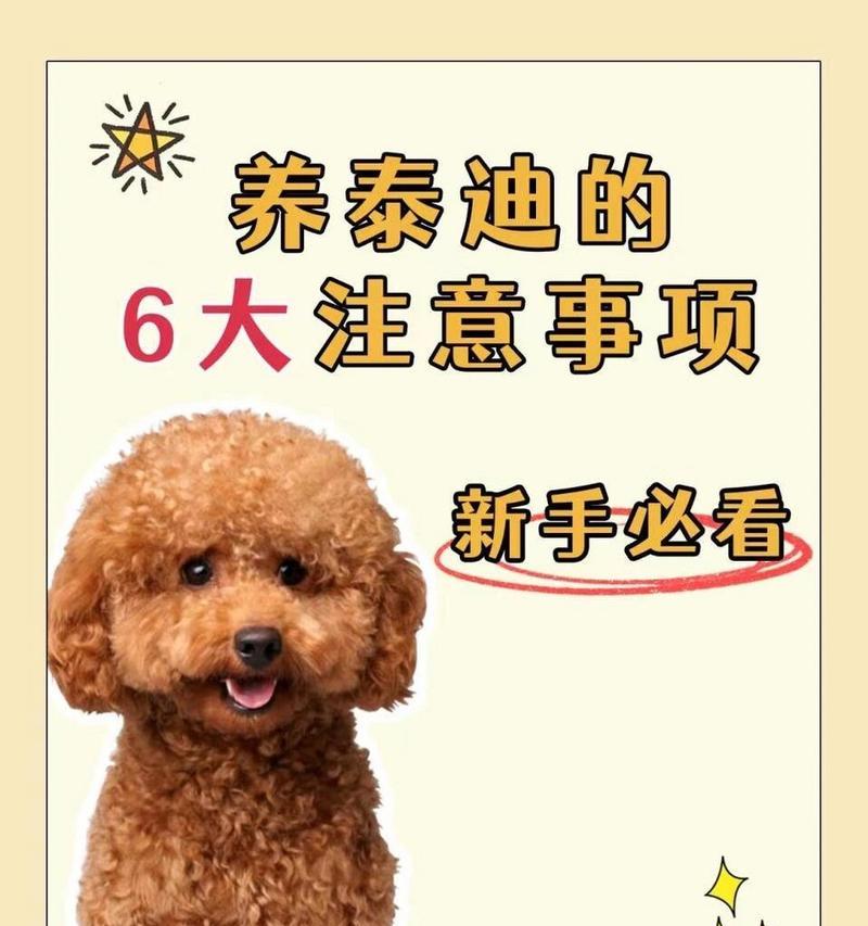 泰迪狗的理想狗粮选择（为你的泰迪狗提供营养均衡的饮食）