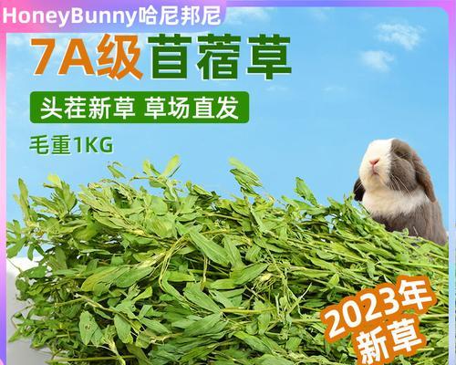 以荷兰猪为主题的文章（探讨荷兰猪为什么不臭的原因）