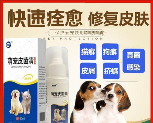 选择合适的药物为狗除螨虫（如何保护你的宠物免受螨虫侵扰）