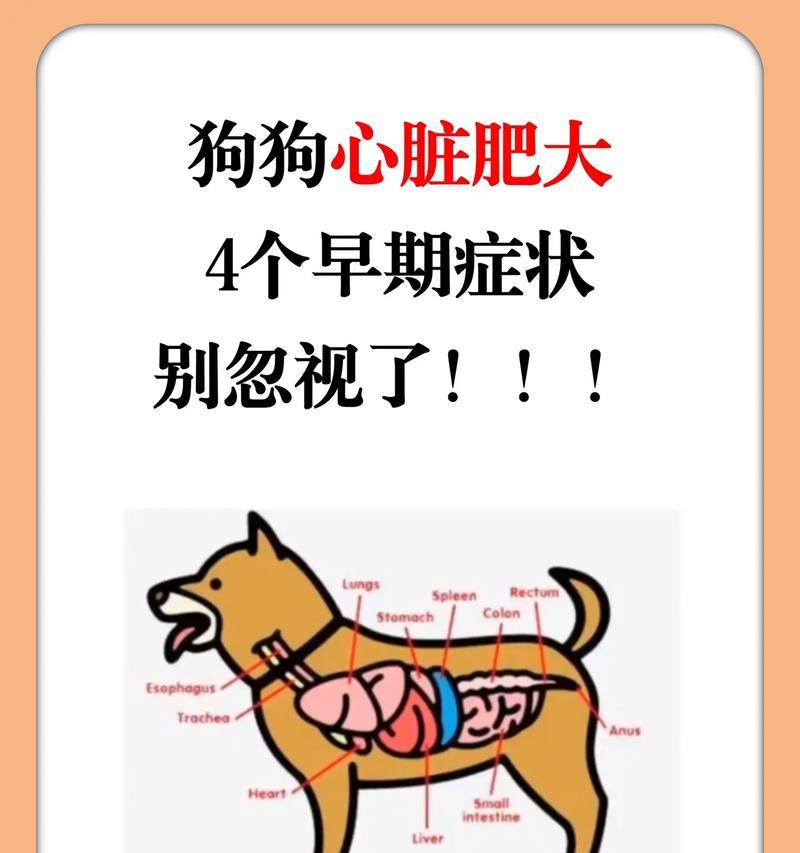 狗狗呼吸困难的原因及预防方法（深入了解狗狗呼吸困难的症状与处理）