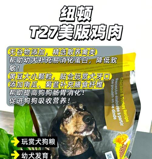 贵宾犬如何增肥与健康饮食（为你的贵宾犬选择正确的饮食，让其健康增肥）