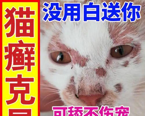 龙猫皮肤病的治疗方法（自然草药是有效的治疗选择）