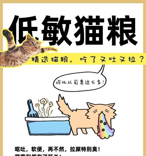 老年人大便奇臭的原因及解决方法（老年人大便奇臭背后的健康问题与护理技巧）