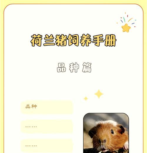 荷兰猪为什么不吃东西？（探索荷兰猪饮食习惯的原因及解决方法）