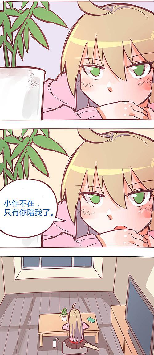 用天然方式治疗猫虱的有效方法（以植物油为基础的猫虱治疗品的秘密）