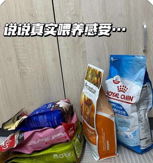 如何以合适的饮食修复狗狗胃粘膜（选择适宜的食物和喂养方式，改善狗狗胃部问题）
