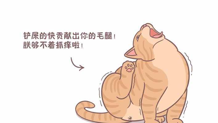 揭秘猫为何喜欢蹭我（探究猫咪蹭人的原因及动机）