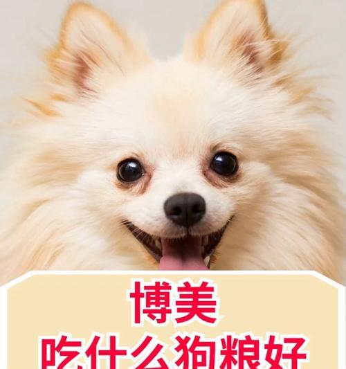 博美犬的饮食习惯揭秘（了解博美犬的喜好与禁忌，让它健康快乐成长）
