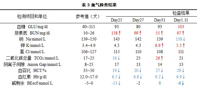 狗肝肾衰竭（深入了解狗肝肾衰竭的原因、症状和有效治疗方法）