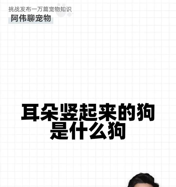 立耳多的狗是如何被认知的？（以立耳多的狗的外貌和性格特点为主要指标，人们对其认知的差异）