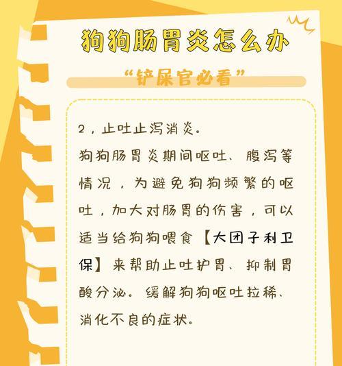 揭秘狗狗肠胃炎的成因及防治措施（探寻狗狗肠胃炎的危害，你需要知道的关键）