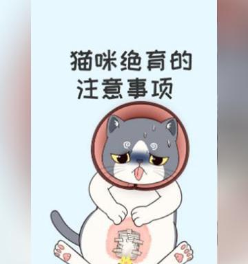猫腹部手术后需要注意的情况（保护切口、饮食控制和病情观察是关键）