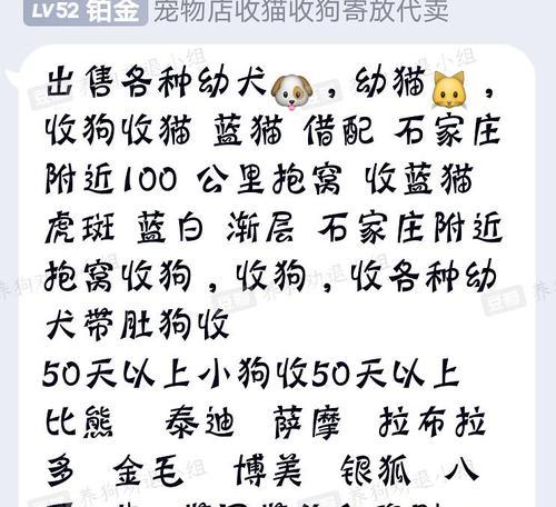 如何建立一个适合狗狗的舒适狗舍（以办狗舍需要满足的条件为主题）