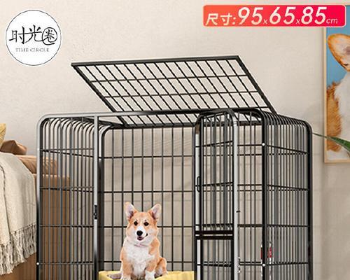 室内养拉布拉多的理想笼子选择（为你的拉布拉多提供舒适与安全的家园）