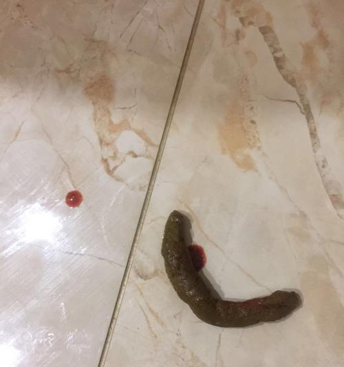 了解狗狗细小拉血的症状和治疗方法（保护你的爱宠免受细小病毒的侵害）