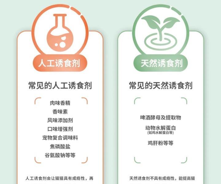 猫为什么不能吃盐？（探究猫咪对盐的特殊需求）
