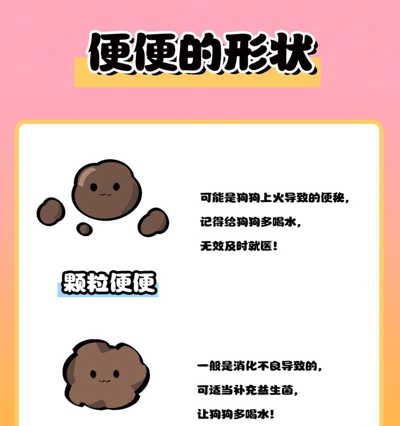 为什么狗狗会在大便前转圈？（探索狗狗转圈行为的原因及意义）