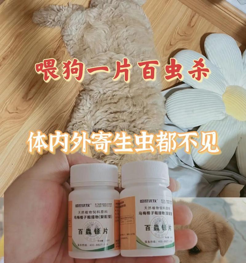 小狗有虫怎么办？选择合适的药物治疗是关键（如何为小狗选择合适的驱虫药物？一起来了解吧！）