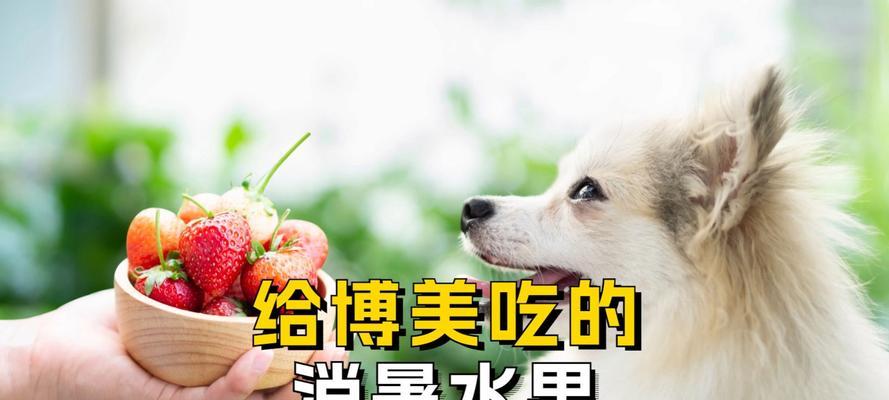 狗狗上火吃什么水果？解决你的烦恼！（两个月大的小狗如何选择水果，帮助它降火？）