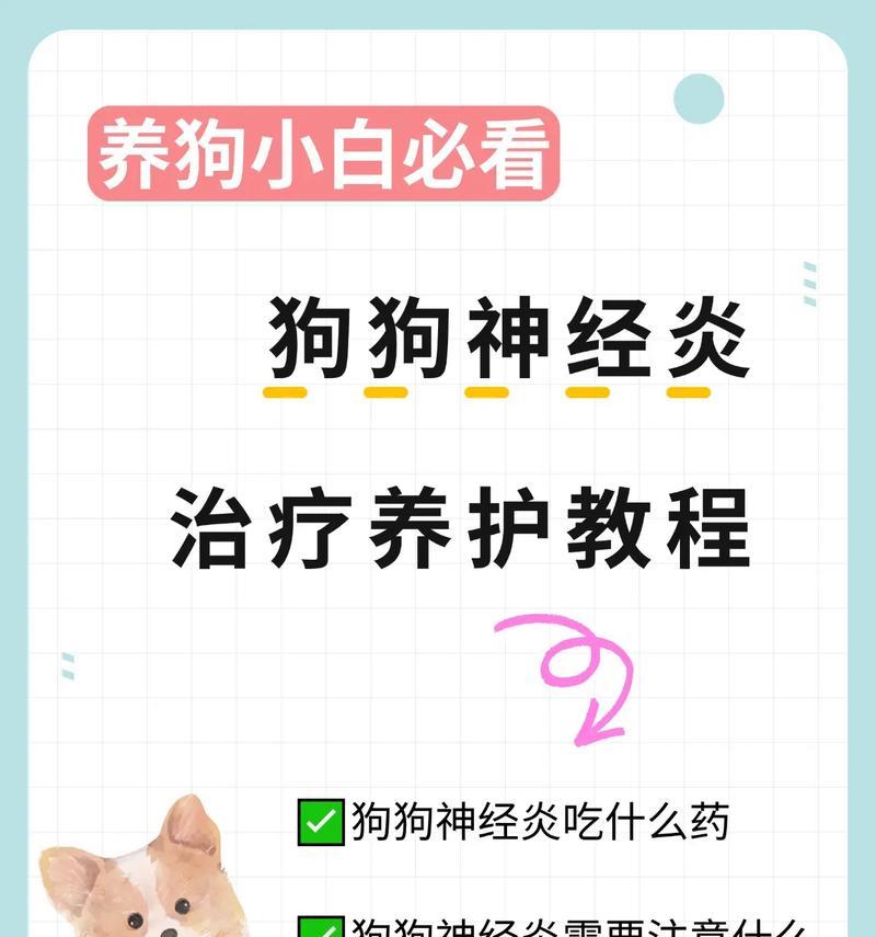 以狗狗神经炎应多吃什么？