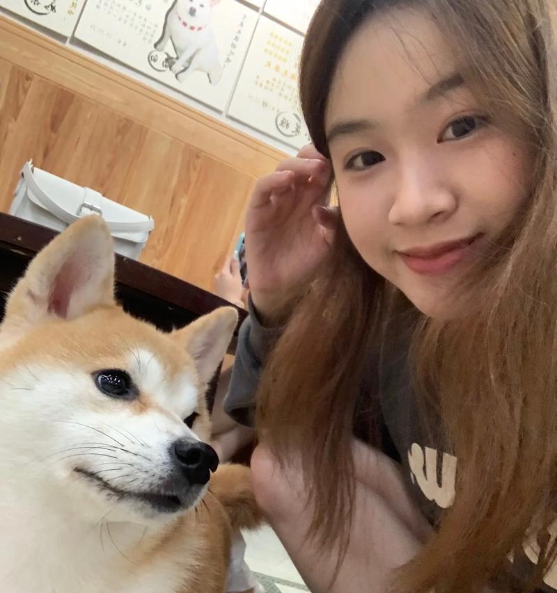 小狗喜欢哪种人？（探寻小狗的喜好与品味）
