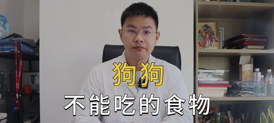 为什么犬不能吃某些食物？（犬食禁忌及其原因）