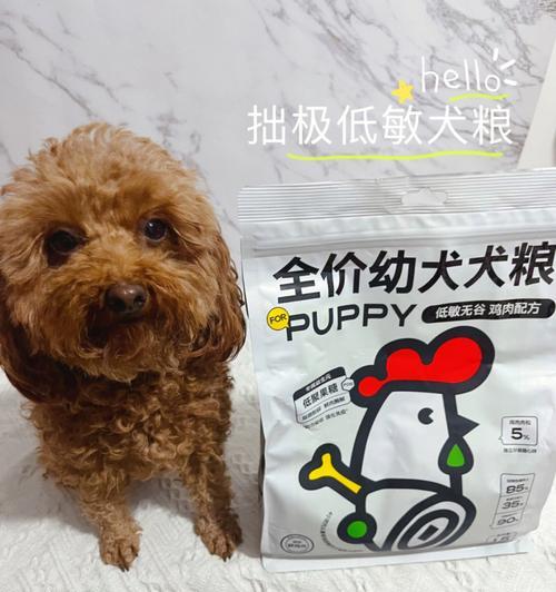 泰迪狗爱流产，如何预防？（了解泰迪狗的饮食习惯及营养需求，预防流产风险）