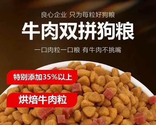 为你的小金毛选择合适的狗粮（了解小金毛的饮食需求，选择适合它的狗粮）